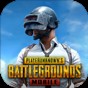 pubg國(guó)際服官方正版安裝包