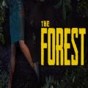 the forest 多人游戲存檔