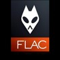 flac播放器哪個(gè)好