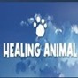 heal下載