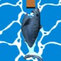 鯊魚吃東西的游戲